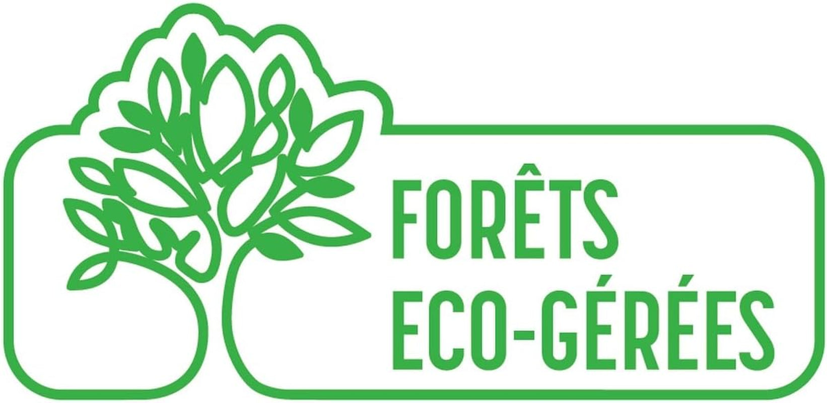 - Carréponge - 4 Éponges Plates Résistantes Et Flexibles - Protection Anti-Bactéries