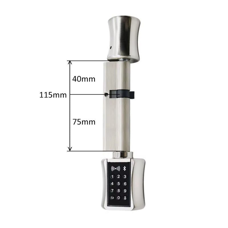 Ttlock Bluetooh Cylinder Smart Lock Remote Control Keyless Electronic Door Lock APP Wifi Digital Code RFID Card Lock