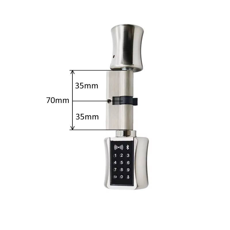 Ttlock Bluetooh Cylinder Smart Lock Remote Control Keyless Electronic Door Lock APP Wifi Digital Code RFID Card Lock