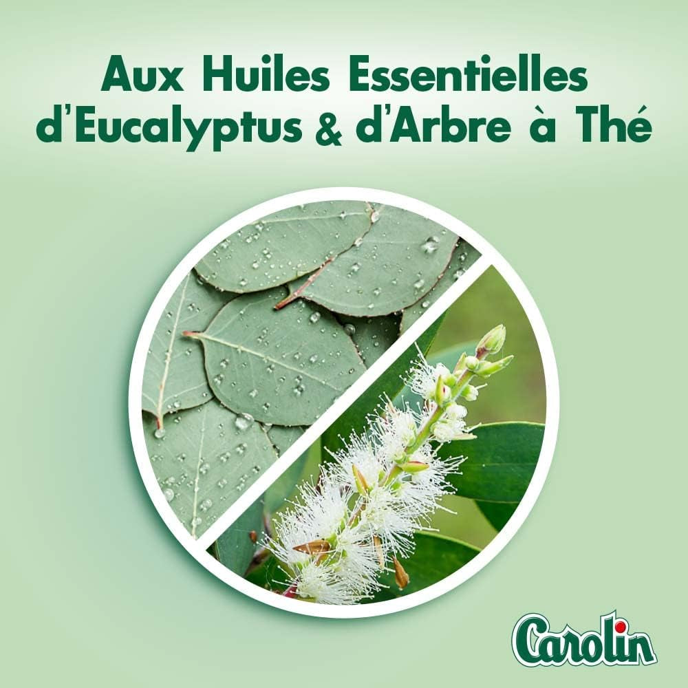 Carolin Nettoyant Multi-Surfaces Huiles Essentielles Anti-Bactérien Sans Javel Eucalyptus Et Arbre À Thé 1 L